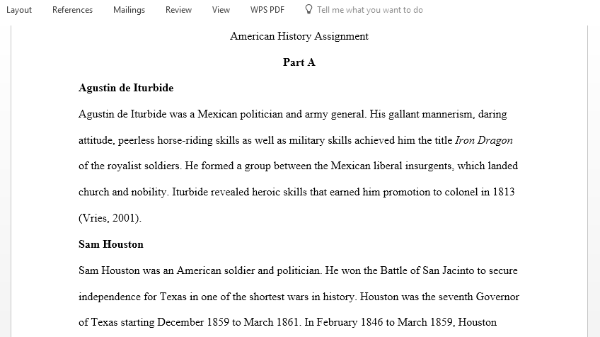 American history assignment