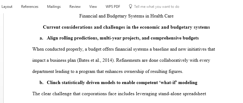 Research information about current considerations and challenges related to the financial and budgetary systems in health care organizations