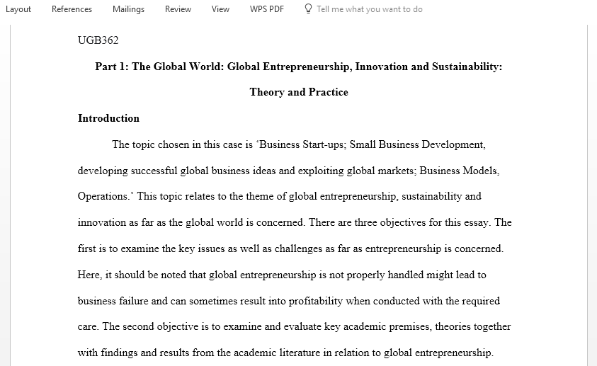 Critical understanding of global entrepreneurship innovation and sustainability issues and challenges