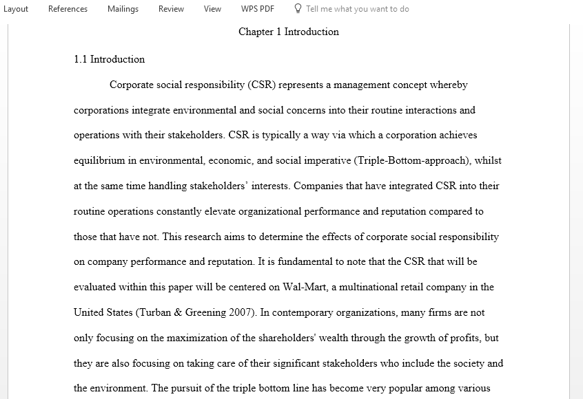 Effect of Corporate Social Responsibility on Organizational Performance and Reputation