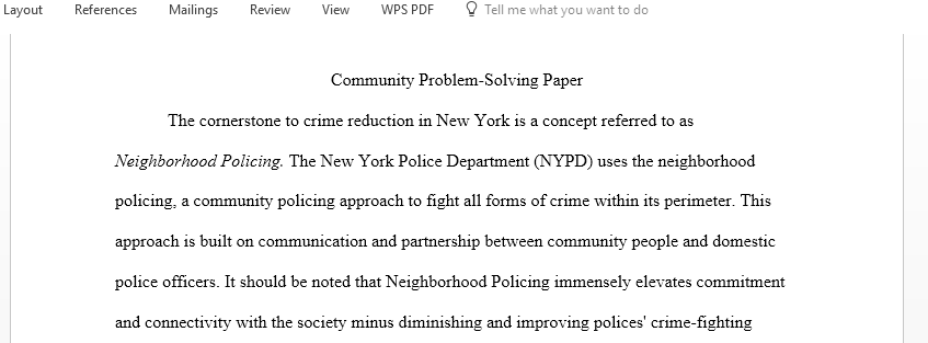 Write a paper on a successful community policing initiative