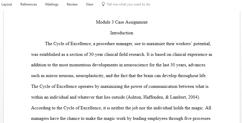 Analyze the five steps of the cycle of excellence and discuss the added value of using the cycle of excellence