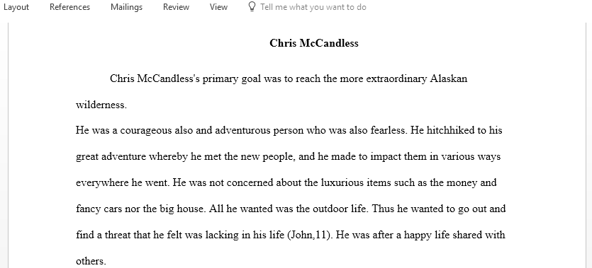 What kind of person was Chris McCandless and what was he trying to do
