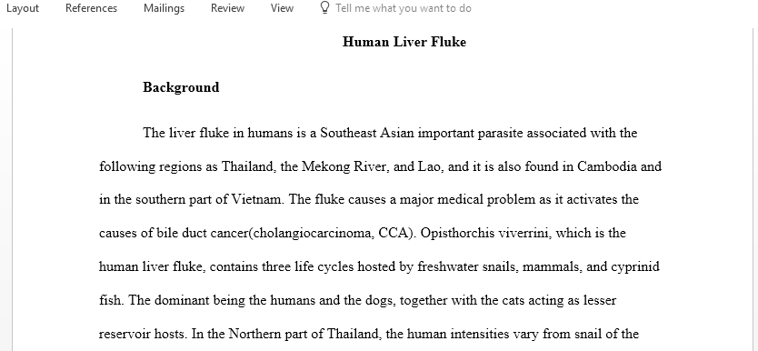 Write up research document on Human Liver Fluke