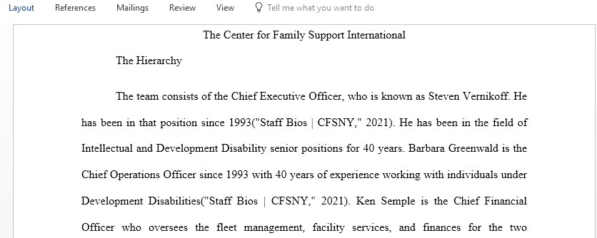 Research then Describe the structure of THE CENTER FOR FAMILY SUPPORT INC