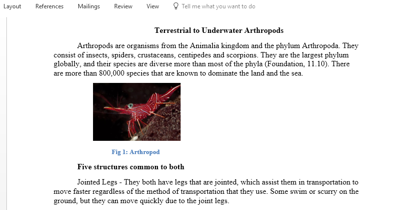 Compare and contrast terrestrial arthropods to underwater arthropods