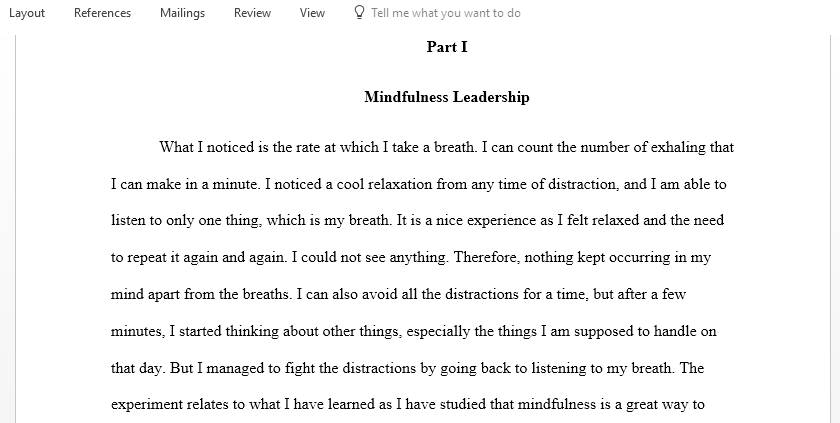 Mindfulness Leadership
