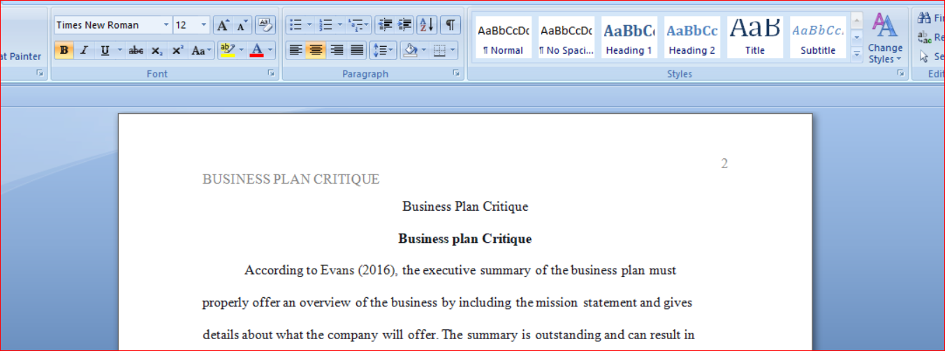 Business Plan Critique