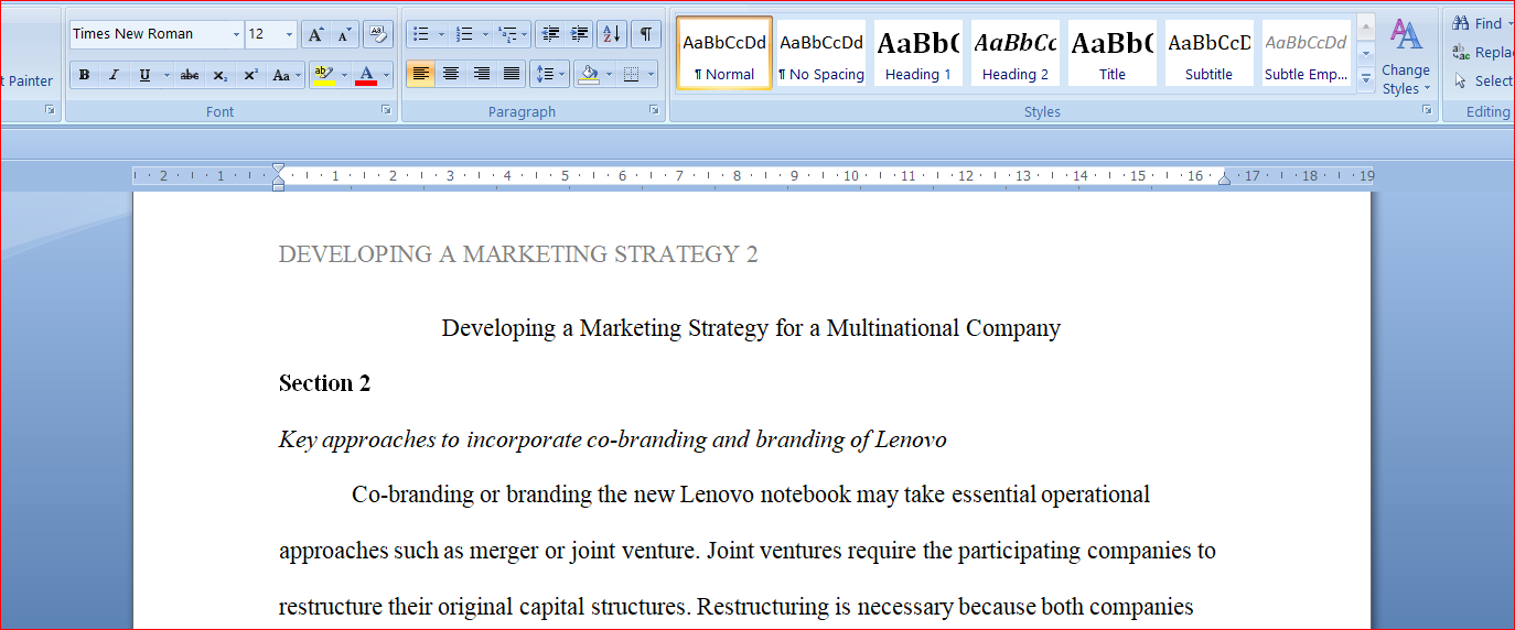 Developing a Marketing Strategy for a Multinational Company