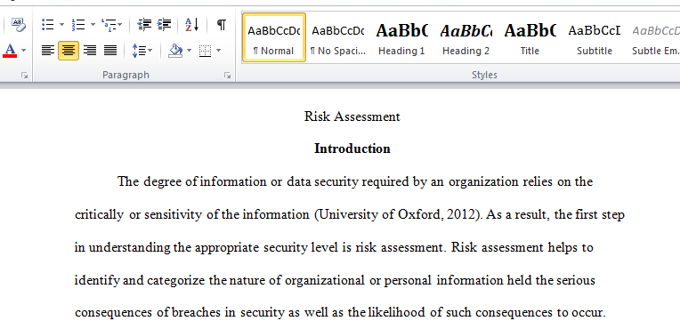 Risk Assessment doc