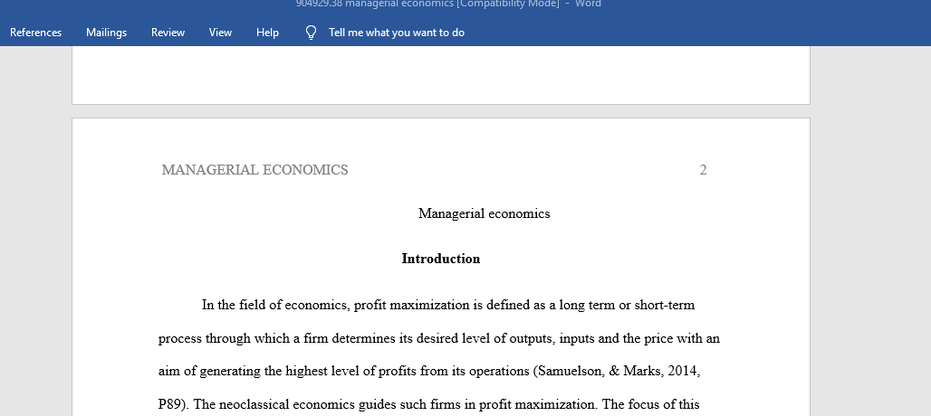 Managerial economics 2