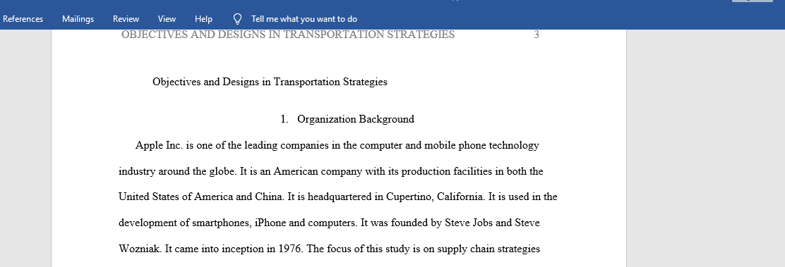 Objectives and Designs in Transportation Strategies