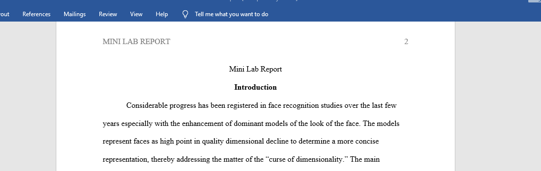 Mini Lab Report