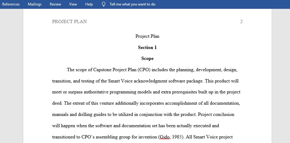 Write an original business requirements document for the project plan