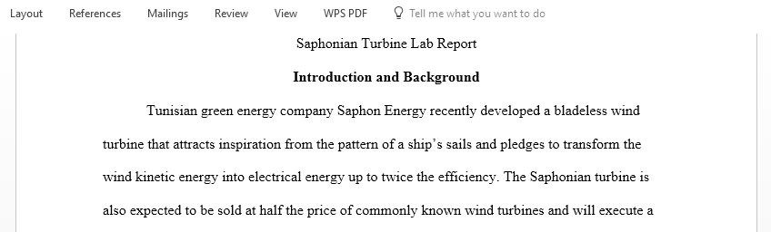 Write a brief report about the saphonian turbine