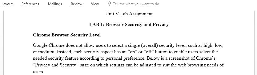 Browser Security and Privacy Lab Assignment 