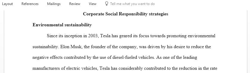 Write about two CSR aspects that Elon Musk in his line of business has clearly contributed to