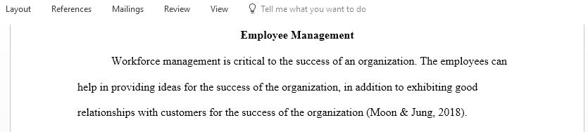 Blockbuster strategic workforce planning initiatives as it relates to hiring managing and leading employees