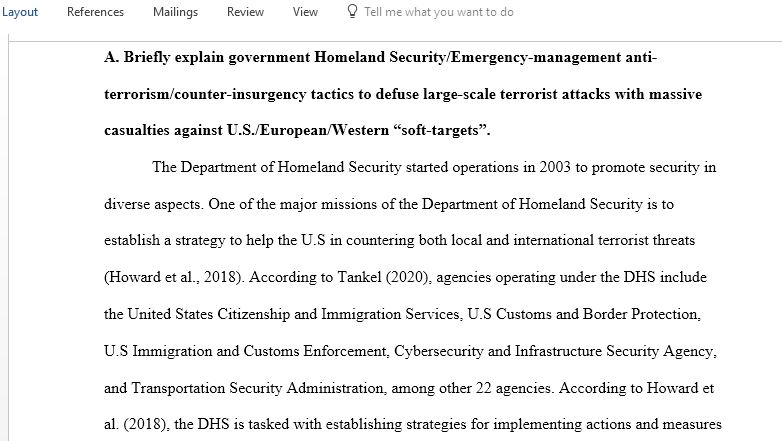 Briefly explain government Homeland Security insurgency tactics to defuse large-scale terrorist attacks with massive casualties against US