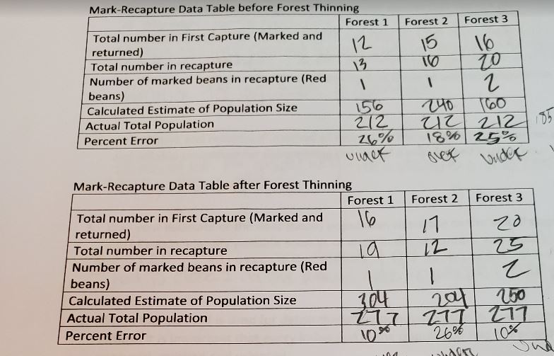 Determine effects on local deer populations with forest thinning techniques