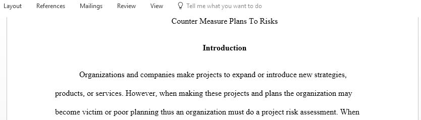 Risk Mitigation Plan