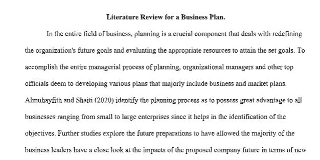 Literature Review for A Business Plan - MBA