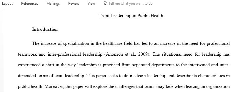Write a description of team leadership and its characteristics