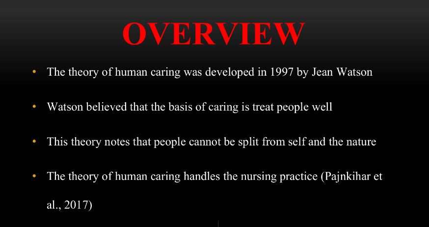 Describe the nursing theory and its conceptual model and demonstrate its application in nursing practice
